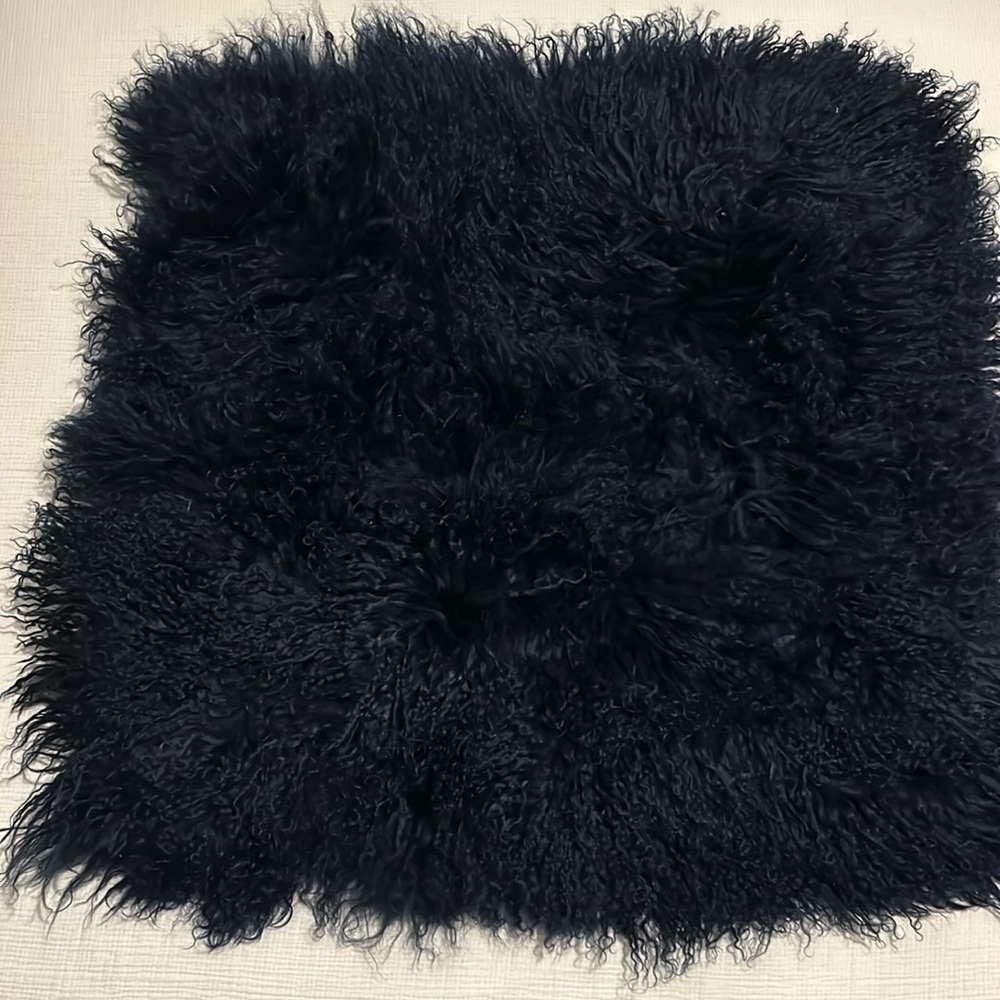West elm 24x24 Mongolian pillow cover.